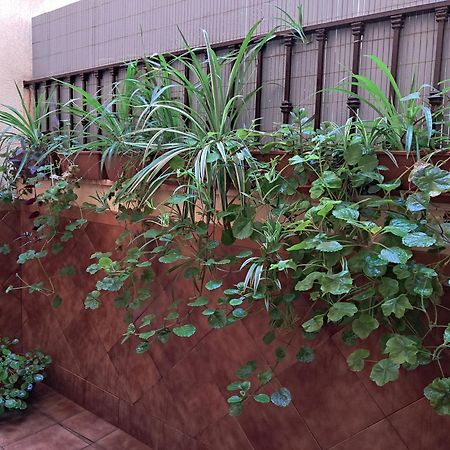 Apartamento La Reina Córdoba Exteriör bild