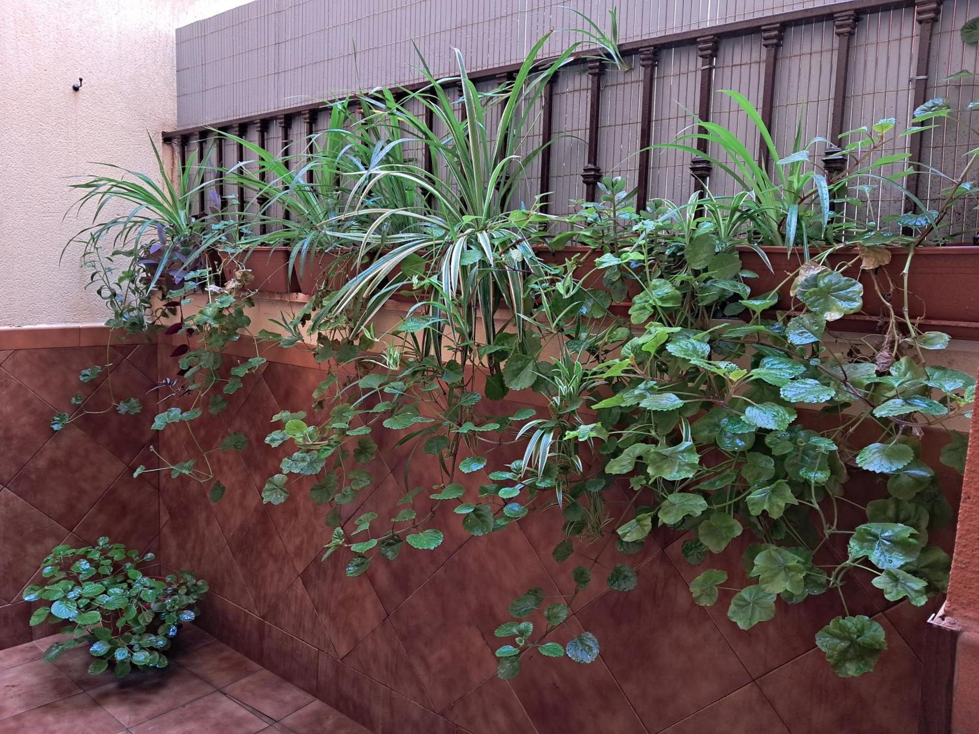 Apartamento La Reina Córdoba Exteriör bild